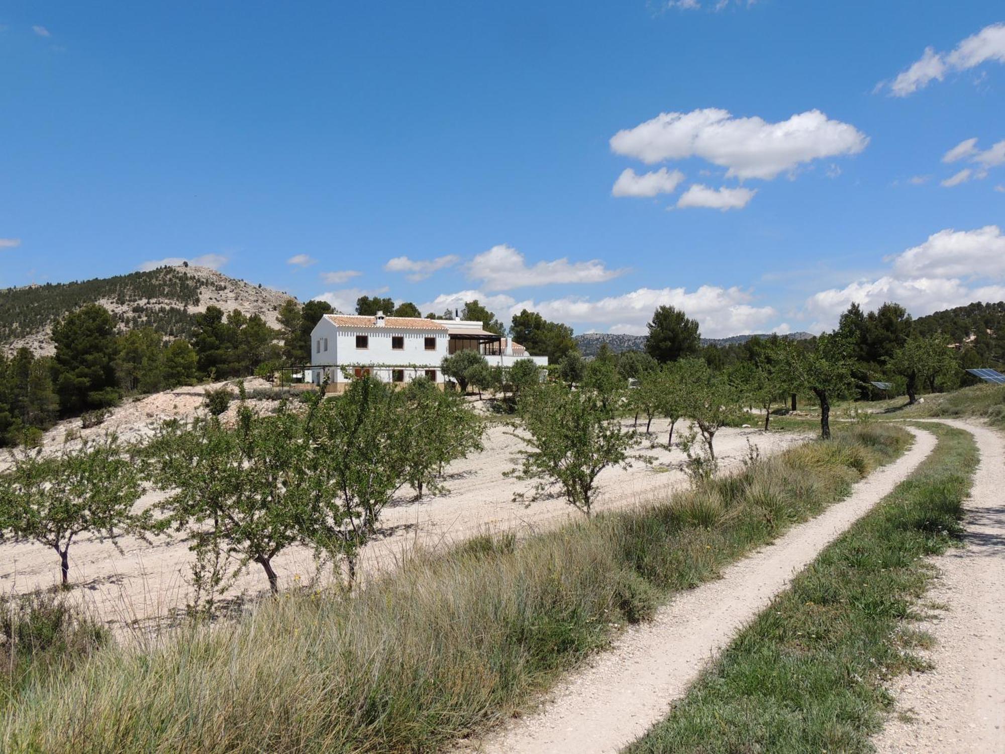 Cortijo Blanco Apartment Vélez Blanco Екстериор снимка